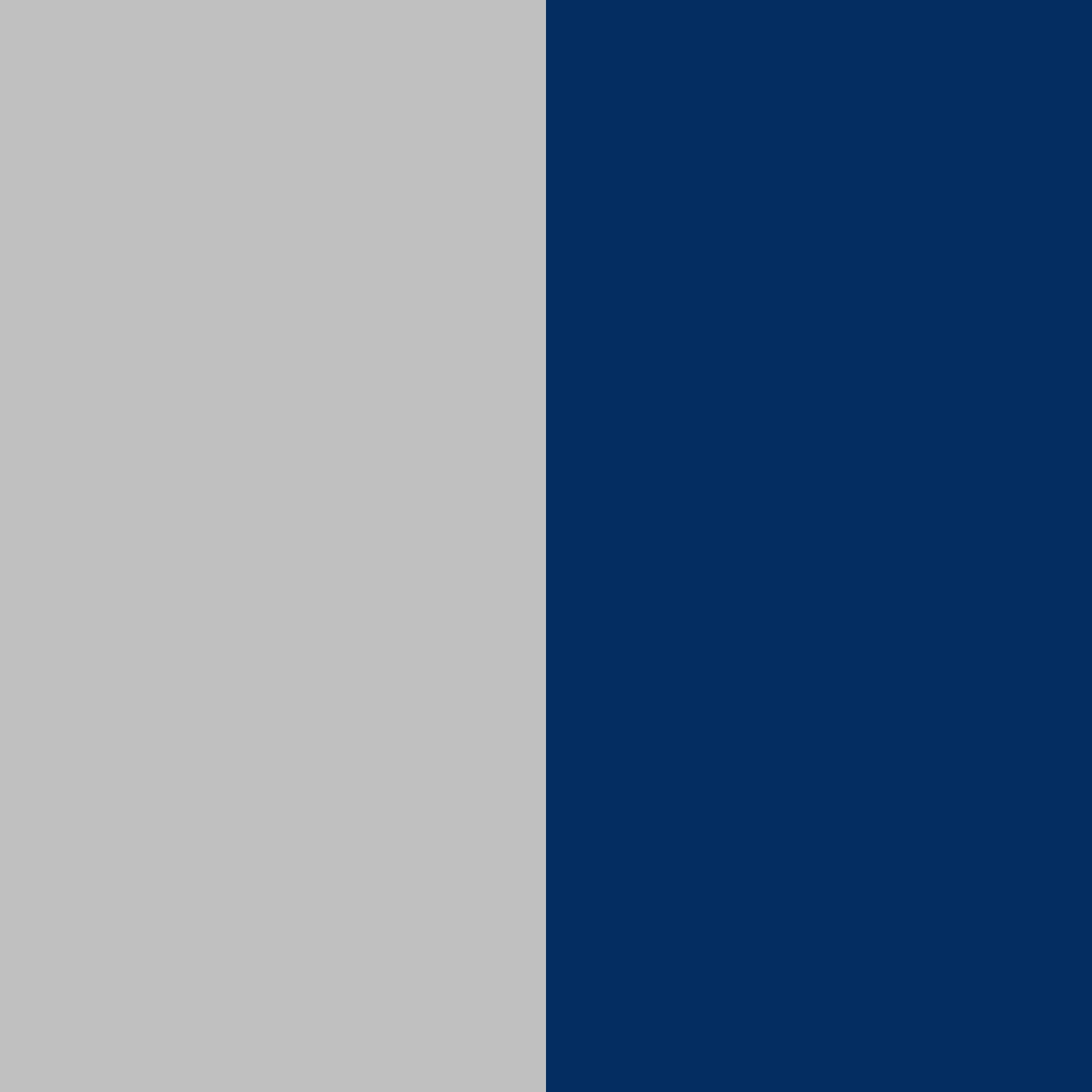 Silver-Navy Blue